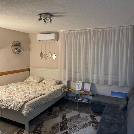 T&N Studio-Center-Free Parking,Ac,Train-Bus Station Sarajevo Ngoại thất bức ảnh